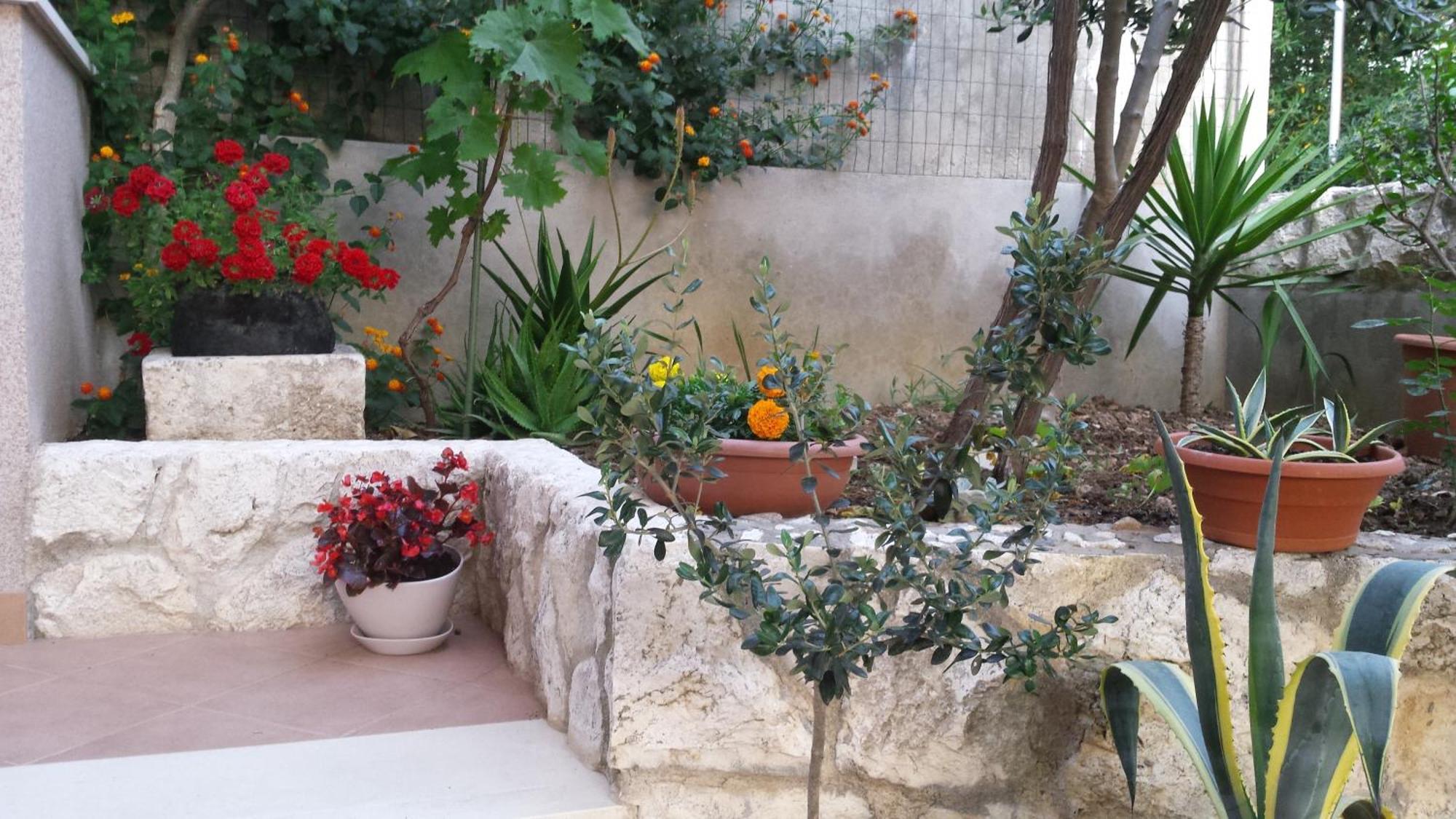 Apartments Jani هفار المظهر الخارجي الصورة